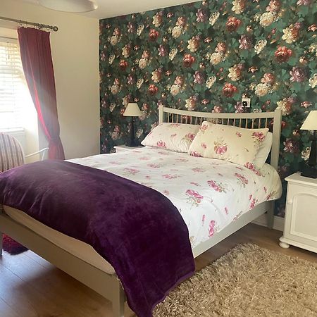 Villa Nolans Organic Farm Wexford Esterno foto