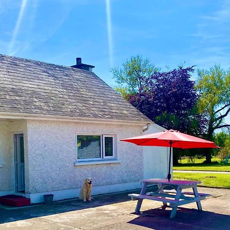Villa Nolans Organic Farm Wexford Esterno foto