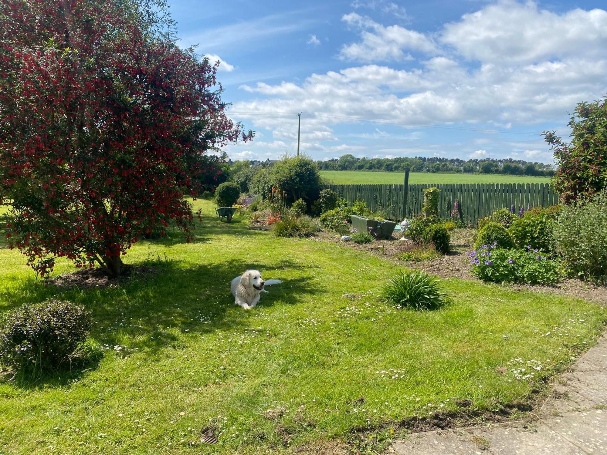 Villa Nolans Organic Farm Wexford Esterno foto